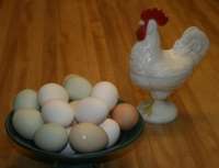 Eggs_bowl