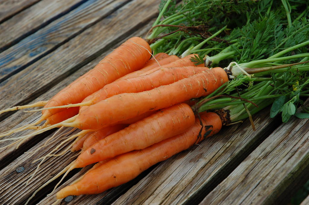 Carrots_7